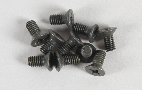FG Vis M4x8mm (10p)