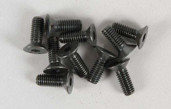 FG Vis btr M6x16mm (10p)