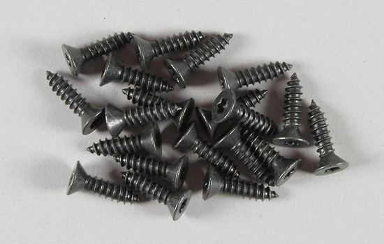 FG Vis Tx 4,2x16 (20p)      