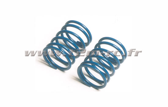 Tamiya Ressorts courts Hard