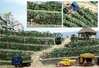 Busch Vignes