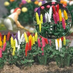 Busch Lupins pour jardin