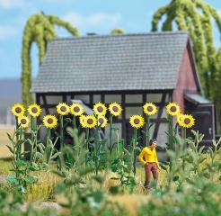 Busch Tournesols g&eacute;ants