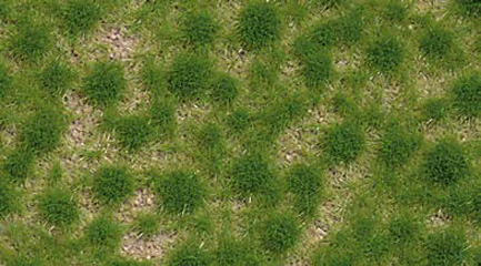 Busch Herbe de printemps