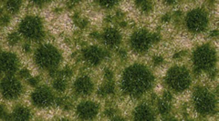 Busch Herbe fin &eacute;t&eacute;