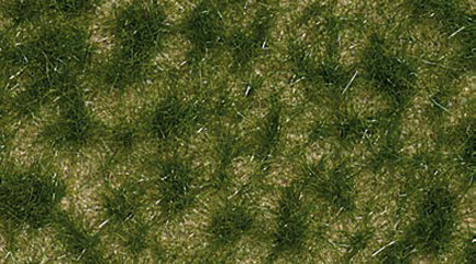 Busch Herbe fin &eacute;t&eacute;