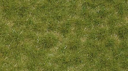 Busch Herbe de printemps