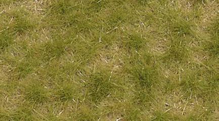 Busch Herbe fin &eacute;t&eacute;