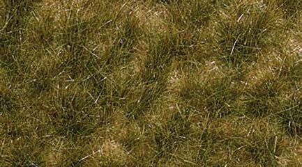 Busch Herbe fin &eacute;t&eacute;