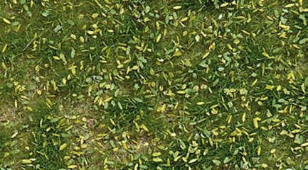Busch Herbe de printemps