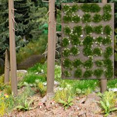 Busch Mauvaise Herbe Et&eacute; 35p