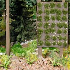 Busch Mauvaise Herbe Fin Et&eacute; 35p