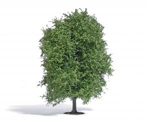 Busch H&ecirc;tre Et&eacute; 125mm
