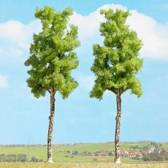 Busch 2 platanes