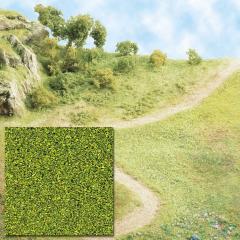 Busch Flocage vert/jaune