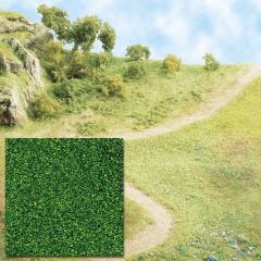 Busch Flocage vert clair