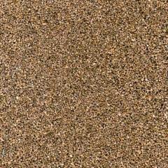 Busch Gravier brun