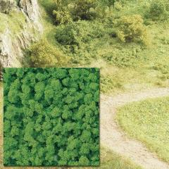 Busch Mousse buisson vert clair