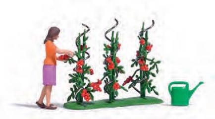 Busch R&eacute;colte tomates