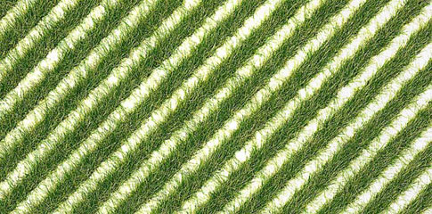 Busch BANDES HERBES PRINTANIERE