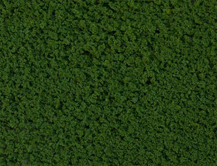 Faller FLOCONS PREMIUM.GROSSIER VERT