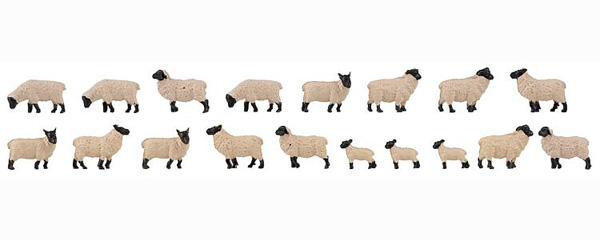 Faller 18 Moutons &agrave; t&ecirc;te noire