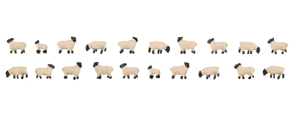 Faller Moutons &agrave; t&ecirc;te noire (20 p.)