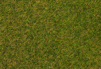 Faller Fibres de flocage herbes sauvages