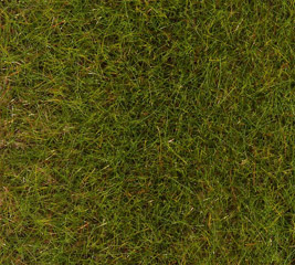 Faller Flocage prairie prenium