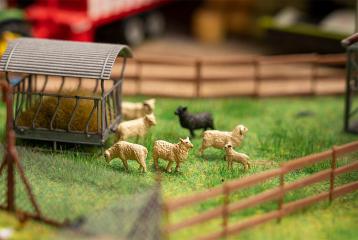 Faller Figurine + bruitage Moutons