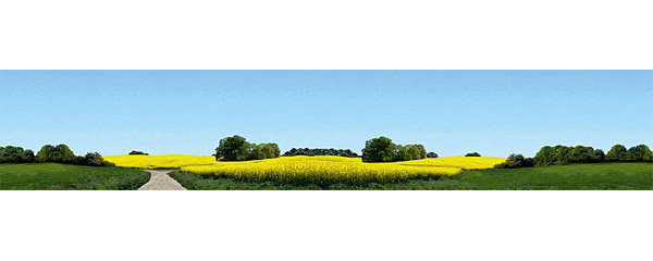 Faller Arri&egrave;re plan fleuri