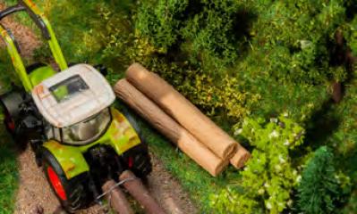 Faller Troncs d&rsquo;arbres