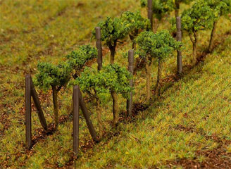 Faller Vignes