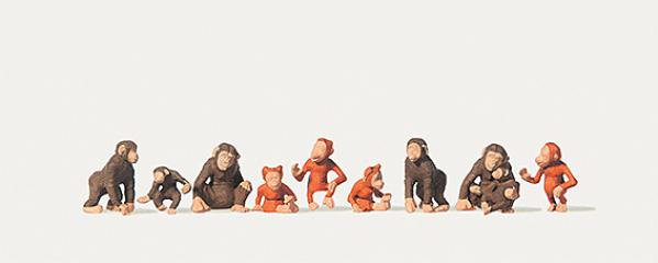 Merten Singes