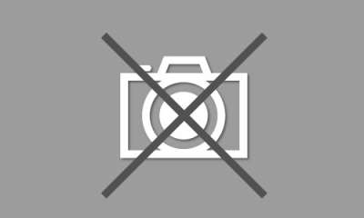  reference ALM820126