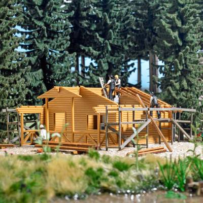 Busch Cabane en construction