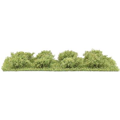 Busch Petits arbustes printanier 8p