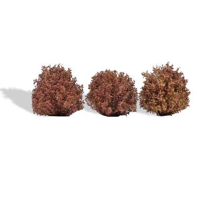 Busch Arbustes automne 3p