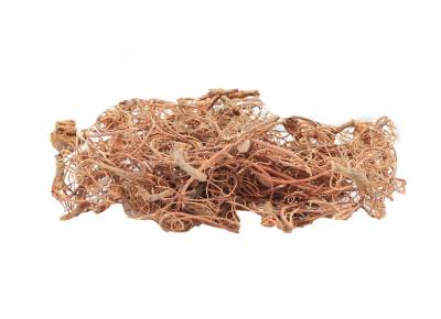 Busch Tas de bois racines