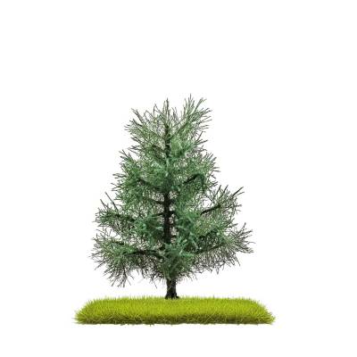 Busch Sapins 80mm 2p