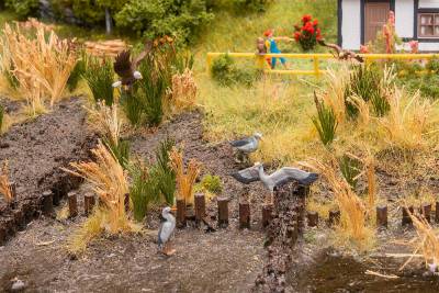 Faller Oiseaux sauvages