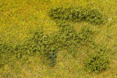 Faller Feuilletage vert