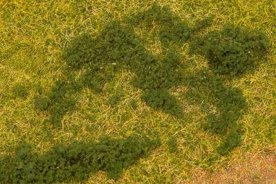 Faller Feuillage vert fonc&eacute;