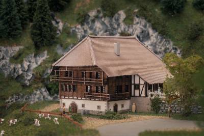 Faller Ferme for&ecirc;t noire