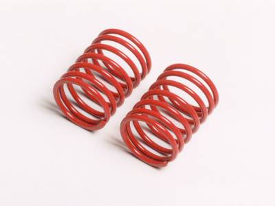 Tamiya Ressorts courts Soft